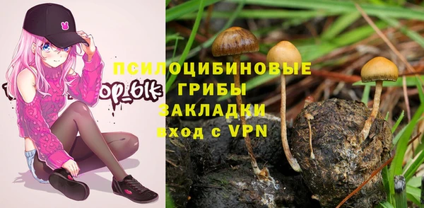 амф Алексеевка