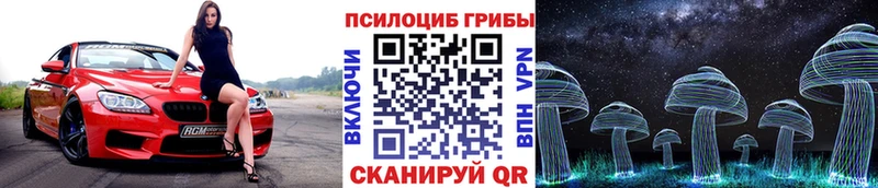 это клад  Чердынь  Псилоцибиновые грибы Cubensis  где можно купить наркотик 